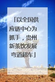 以全国供应链中心为抓手，贵州新茶饮发展弯道超车