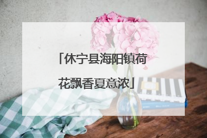 休宁县海阳镇荷花飘香夏意浓