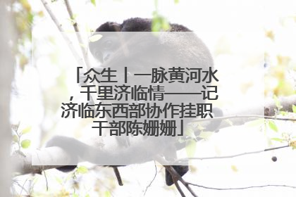 众生丨一脉黄河水，千里济临情——记济临东西部协作挂职干部陈姗姗