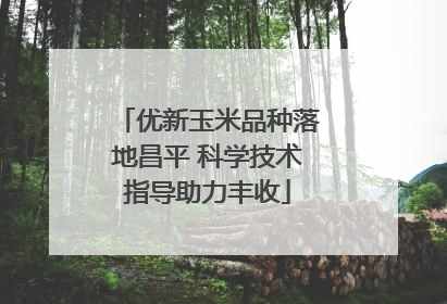 优新玉米品种落地昌平 科学技术指导助力丰收