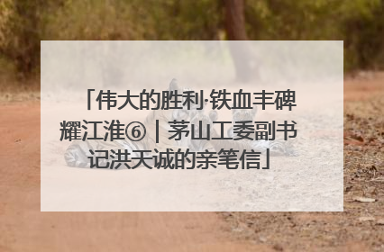伟大的胜利·铁血丰碑耀江淮⑥｜茅山工委副书记洪天诚的亲笔信