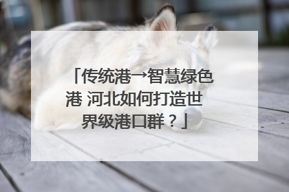 传统港→智慧绿色港 河北如何打造世界级港口群？
