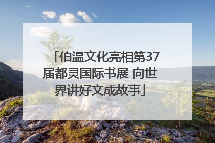 伯温文化亮相第37届都灵国际书展 向世界讲好文成故事