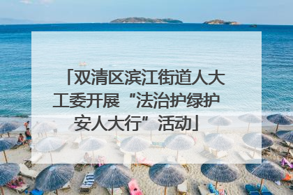 双清区滨江街道人大工委开展“法治护绿护安人大行”活动