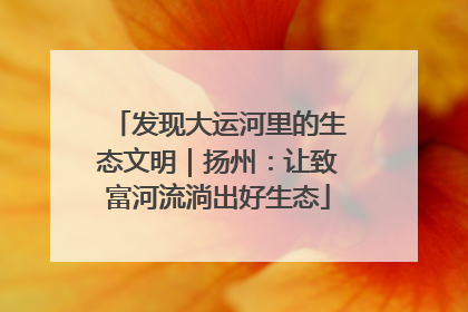 发现大运河里的生态文明｜扬州：让致富河流淌出好生态