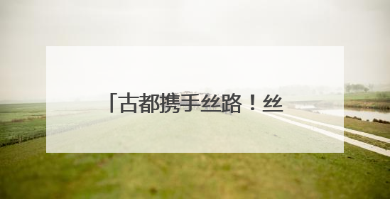 古都携手丝路！丝博会绽放新活力