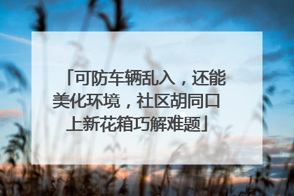 可防车辆乱入，还能美化环境，社区胡同口上新花箱巧解难题