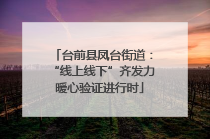 台前县凤台街道：“线上线下”齐发力 暖心验证进行时