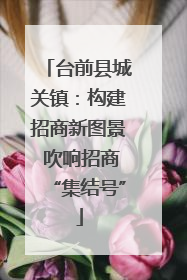 台前县城关镇：构建招商新图景 吹响招商“集结号”