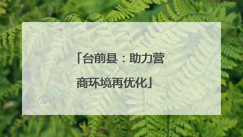 台前县：助力营商环境再优化