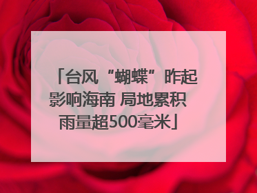 台风“蝴蝶”昨起影响海南 局地累积雨量超500毫米