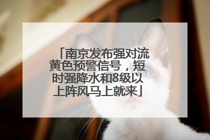 南京发布强对流黄色预警信号，短时强降水和8级以上阵风马上就来