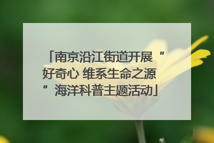 南京沿江街道开展“好奇心 维系生命之源”海洋科普主题活动