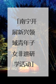 南宁开展新兴领域青年子女非遗研学活动