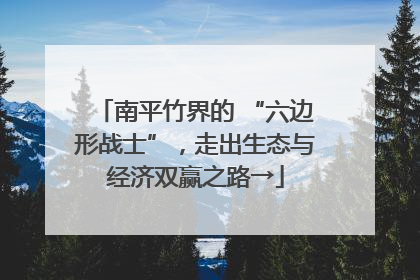 南平竹界的 “六边形战士”，走出生态与经济双赢之路→