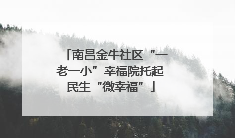 南昌金牛社区“一老一小”幸福院托起民生“微幸福”