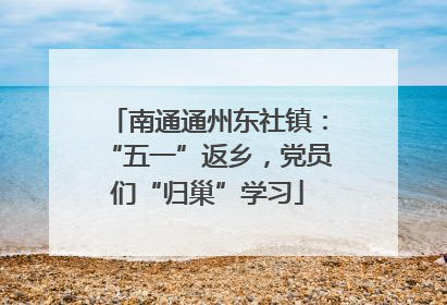 南通通州东社镇：“五一”返乡，党员们“归巢”学习