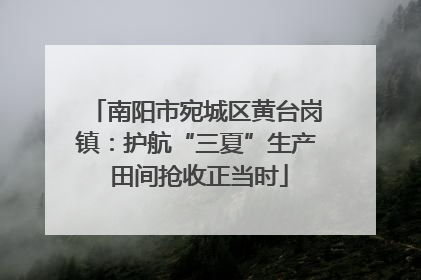 南阳市宛城区黄台岗镇：护航“三夏”生产 田间抢收正当时