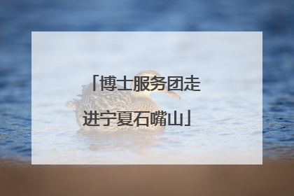 博士服务团走进宁夏石嘴山