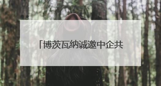 博茨瓦纳诚邀中企共拓非洲市场 与多家中企达成合作协议