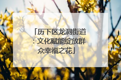 历下区龙洞街道：文化赋能绽放群众幸福之花