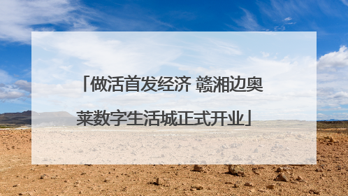 做活首发经济 赣湘边奥莱数字生活城正式开业