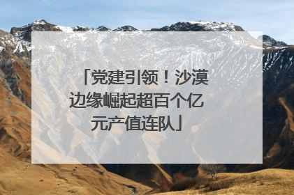 党建引领！沙漠边缘崛起超百个亿元产值连队