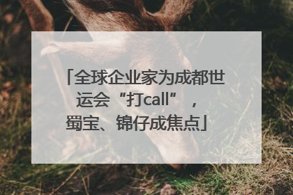 全球企业家为成都世运会“打call”，蜀宝、锦仔成焦点