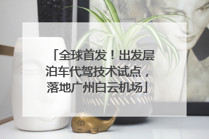 全球首发！出发层泊车代驾技术试点，落地广州白云机场