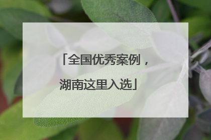 全国优秀案例，湖南这里入选