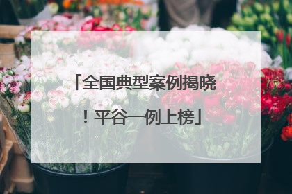全国典型案例揭晓！平谷一例上榜