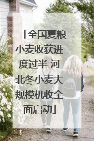 全国夏粮小麦收获进度过半 河北冬小麦大规模机收全面启动
