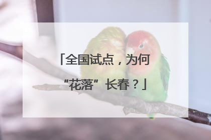 全国试点，为何“花落”长春？