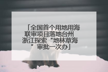 全国首个用地用海联审项目落地台州 浙江探索“地林草海”审批一次办