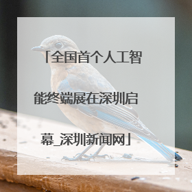 全国首个人工智能终端展在深圳启幕_深圳新闻网