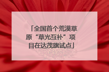 全国首个荒漠草原“草光互补”项目在达茂旗试点
