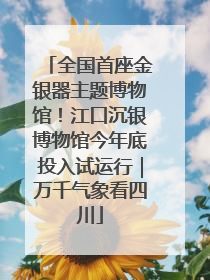 全国首座金银器主题博物馆！江口沉银博物馆今年底投入试运行｜万千气象看四川