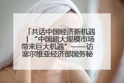 共话中国经济新机遇丨“中国超大规模市场带来巨大机遇”——访塞尔维亚经济部国务秘书尼科利奇