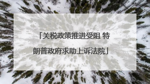 关税政策推进受阻 特朗普政府求助上诉法院