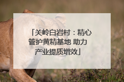 关岭白岩村：精心管护黄精基地 助力产业提质增效