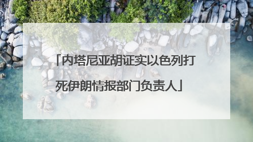 内塔尼亚胡证实以色列打死伊朗情报部门负责人