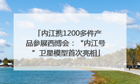 内江携1200多件产品参展西博会：“内江号”卫星模型首次亮相