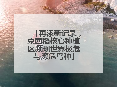 再添新记录，京西稻核心种植区频现世界极危与濒危鸟种