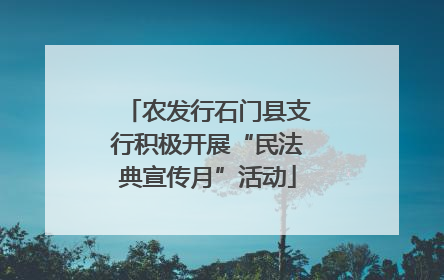 农发行石门县支行积极开展“民法典宣传月”活动
