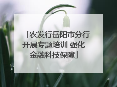 农发行岳阳市分行开展专题培训 强化金融科技保障
