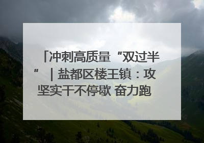 冲刺高质量“双过半”｜盐都区楼王镇：攻坚实干不停歇 奋力跑赢“上半场”
