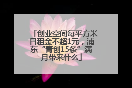 创业空间每平方米日租金不超1元，浦东“青创15条”满月带来什么