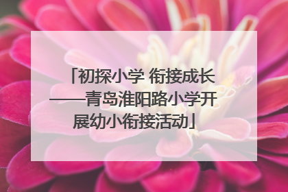 初探小学 衔接成长——青岛淮阳路小学开展幼小衔接活动