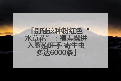 别碰这种粉红色“水草花”：福寿螺进入繁殖旺季 寄生虫多达6000条
