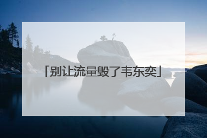 别让流量毁了韦东奕